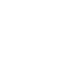 ce logo Carson