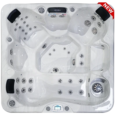 Avalon-X EC-849LX hot tubs for sale in Carson